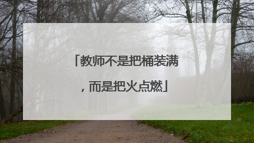 教师不是把桶装满，而是把火点燃
