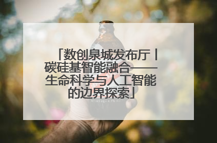 数创泉城发布厅丨碳硅基智能融合——生命科学与人工智能的边界探索