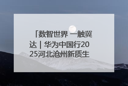 数智世界 一触冀达｜华为中国行2025河北沧州新质生产力峰会成功举办