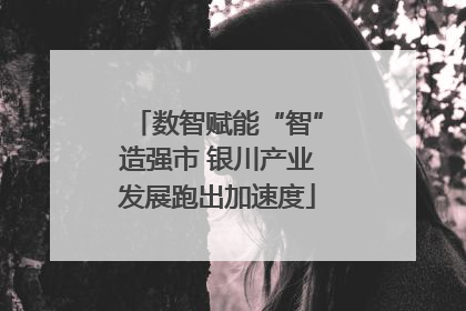 数智赋能“智”造强市 银川产业发展跑出加速度