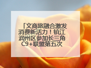 文商旅融合激发消费新活力！镇江润州区参加长三角C9+联盟第五次联席会议