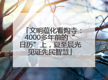 文明蕴化看陶寺：4000多年前的“日历”上，夏至晨光见证先民智慧