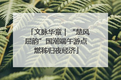 文脉华章｜“楚风屈韵”国潮端午游点燃秭归夜经济