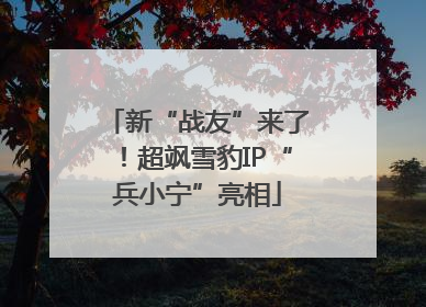 新“战友”来了！超飒雪豹IP“兵小宁”亮相