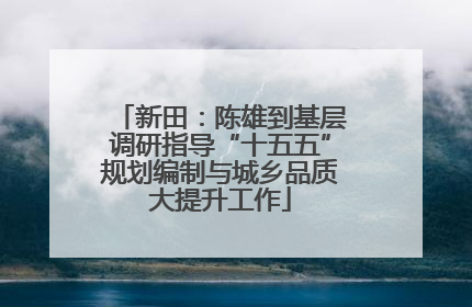 新田：陈雄到基层调研指导“十五五”规划编制与城乡品质大提升工作