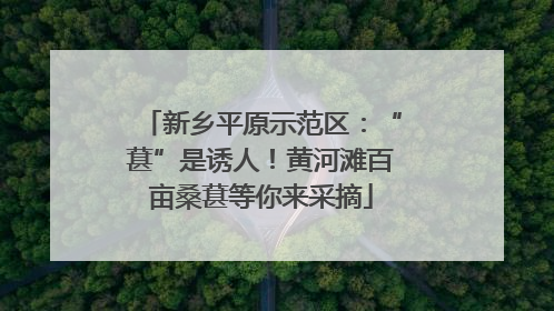 新乡平原示范区：“葚”是诱人！黄河滩百亩桑葚等你来采摘