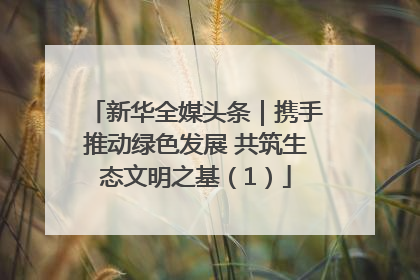 新华全媒头条｜携手推动绿色发展 共筑生态文明之基（1）