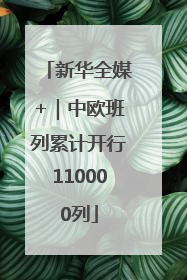新华全媒+｜中欧班列累计开行110000列