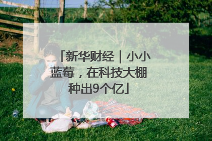 新华财经｜小小蓝莓，在科技大棚种出9个亿