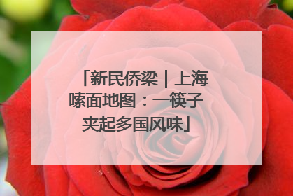 新民侨梁｜上海嗦面地图：一筷子夹起多国风味