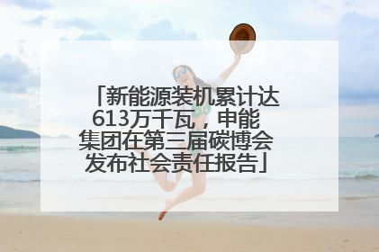 新能源装机累计达613万千瓦，申能集团在第三届碳博会发布社会责任报告