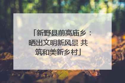新野县前高庙乡：晒出文明新风景 共筑和美新乡村