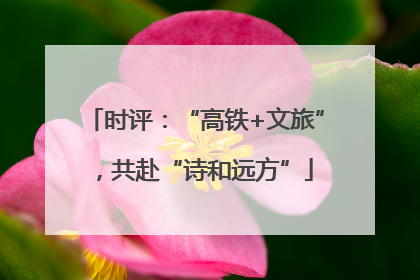 时评：“高铁+文旅”，共赴“诗和远方”