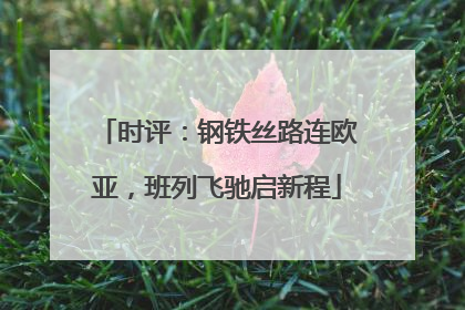 时评：钢铁丝路连欧亚，班列飞驰启新程