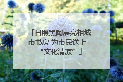 日照黑陶展亮相城市书房 为市民送上“文化清凉”