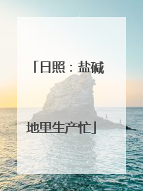 日照：盐碱地里生产忙