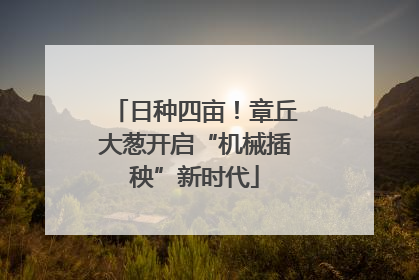 日种四亩！章丘大葱开启“机械插秧”新时代