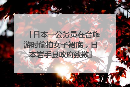 日本一公务员在台旅游时偷拍女子裙底，日本岩手县政府致歉