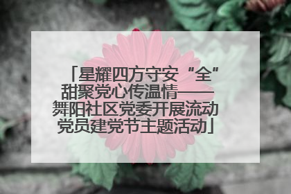 星耀四方守安“全” 甜聚党心传温情——舞阳社区党委开展流动党员建党节主题活动