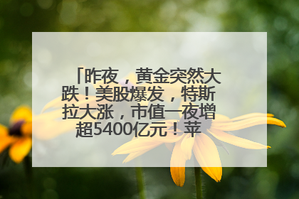 昨夜，黄金突然大跌！美股爆发，特斯拉大涨，市值一夜增超5400亿元！苹果传来大消息