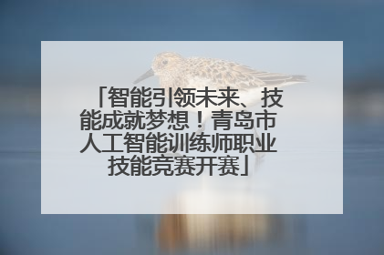 智能引领未来、技能成就梦想！青岛市人工智能训练师职业技能竞赛开赛