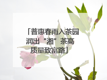 普惠春雨入茶园 润出“湘”茶高质量致富路