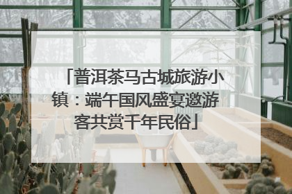 普洱茶马古城旅游小镇：端午国风盛宴邀游客共赏千年民俗
