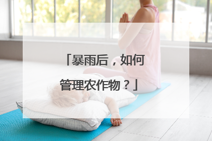 暴雨后，如何管理农作物？