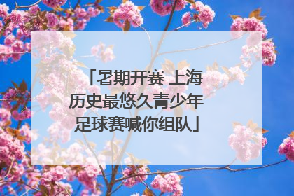 暑期开赛 上海历史最悠久青少年足球赛喊你组队