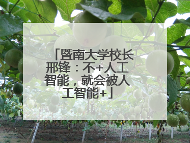 暨南大学校长邢锋：不+人工智能，就会被人工智能+