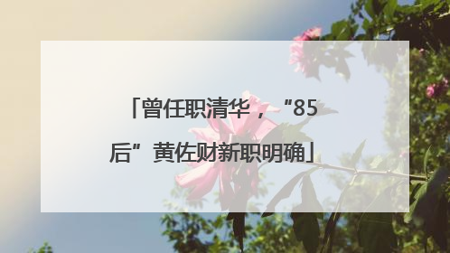 曾任职清华，“85后”黄佐财新职明确