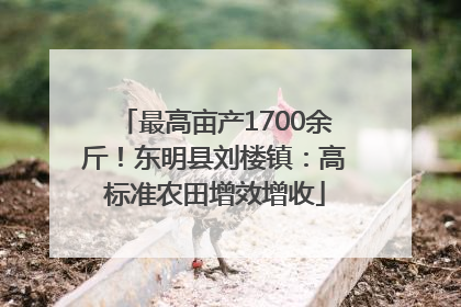 最高亩产1700余斤！东明县刘楼镇：高标准农田增效增收