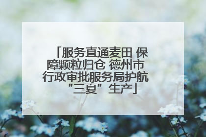 服务直通麦田 保障颗粒归仓 德州市行政审批服务局护航“三夏”生产