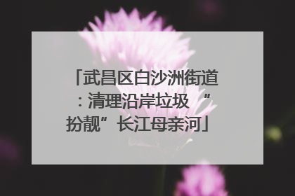武昌区白沙洲街道：清理沿岸垃圾 “扮靓”长江母亲河