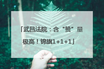 武昌法院：含“赞”量极高！锦旗1+1+1