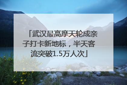 武汉最高摩天轮成亲子打卡新地标，半天客流突破1.5万人次