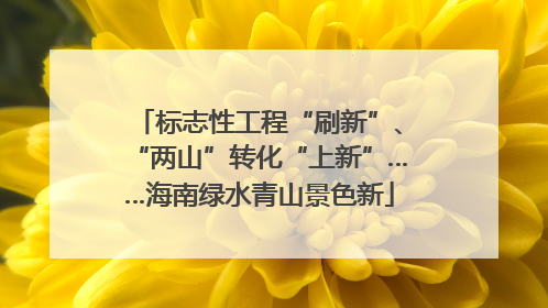 标志性工程“刷新”、“两山”转化“上新”……海南绿水青山景色新