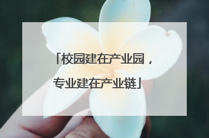 校园建在产业园，专业建在产业链