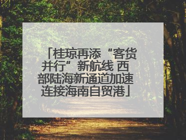 桂琼再添“客货并行”新航线 西部陆海新通道加速连接海南自贸港