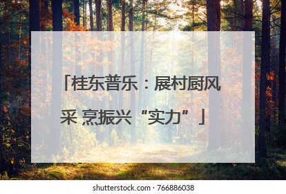 桂东普乐：展村厨风采 烹振兴“实力”