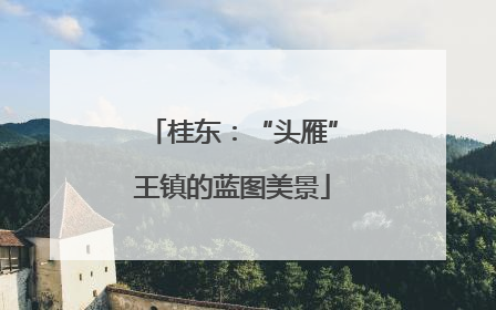 桂东：“头雁”王镇的蓝图美景