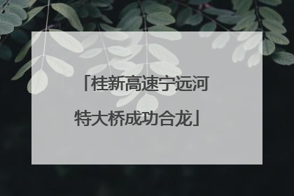 桂新高速宁远河特大桥成功合龙