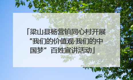 梁山县杨营镇同心村开展“我们的价值观·我们的中国梦”百姓宣讲活动
