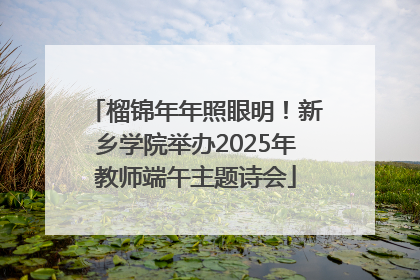榴锦年年照眼明！新乡学院举办2025年教师端午主题诗会