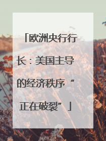 欧洲央行行长：美国主导的经济秩序“正在破裂”