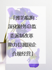 潍坊临朐：深化财务总监委派制改革 助力县属国企合规经营