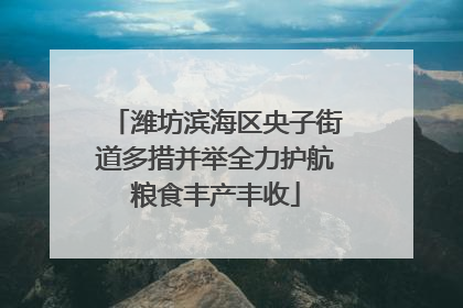 潍坊滨海区央子街道多措并举全力护航粮食丰产丰收