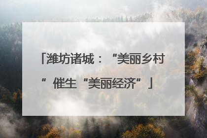 潍坊诸城：“美丽乡村”催生“美丽经济”
