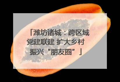 潍坊诸城：跨区域党建联建 扩大乡村振兴“朋友圈”