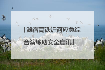 潍宿高铁沂河应急综合演练助安全度汛